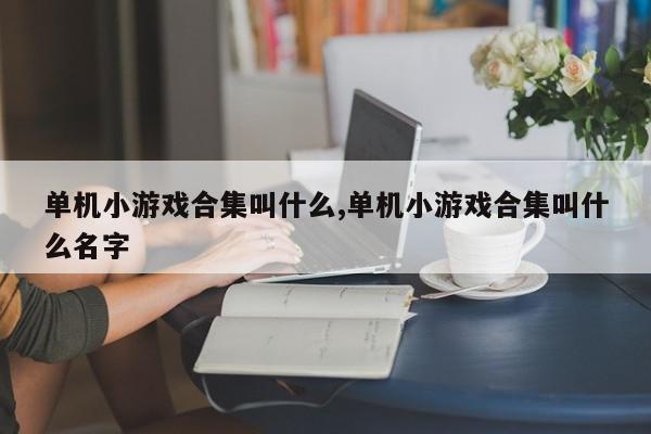 单机小游戏合集叫什么,单机小游戏合集叫什么名字