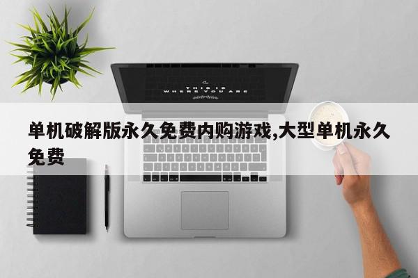 单机破解版永久免费内购游戏,大型单机永久免费